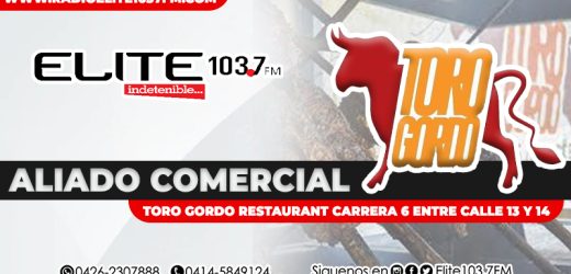 Toro Gordo